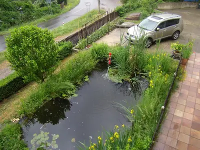 a pond in a garden with a car parked next to it at Penzion Lida in Srbsko