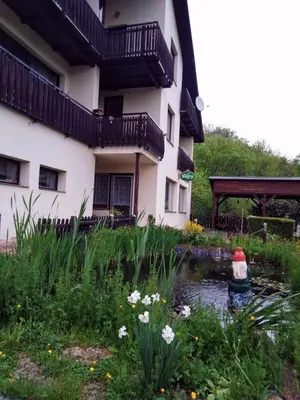 a building with a pond in front of a building at Penzion Lida in Srbsko