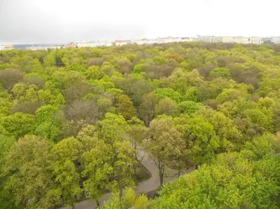 an overhead view of a forest with trees and a river at Apartment David Garden Towers in Prague