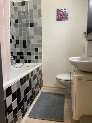 a bathroom with a toilet and a sink at Agnes - Romance in city II. in Prague
