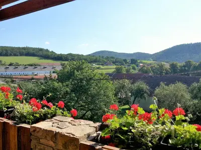 a view of a garden with flowers on a ledge at Ubytování Steak-Hredle in Hředle