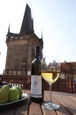 a bottle of white wine next to a glass of grapes at Hotel Pod Věží in Prague