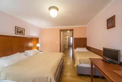 a hotel room with two beds and a television at Hotel Cerny Slon in Prague