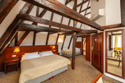 a bedroom with a bed in a room with wooden ceilings at Hotel Cerny Slon in Prague