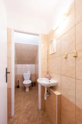 a bathroom with a toilet and a sink at Penzion Vědomice in Vědomice