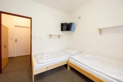 two beds in a room with a mirror at Penzion Vědomice in Vědomice