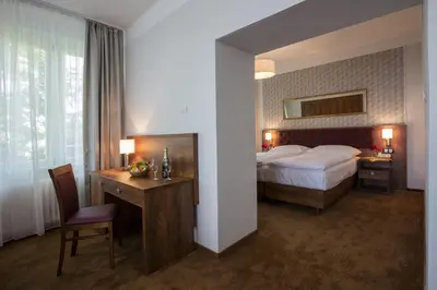 a hotel room with a bed and a desk and a bed and a desk sidx at Hotel Bellevue Tlapak in Poděbrady