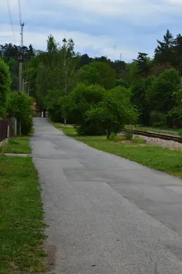 an empty road next to a field with trees at U Lokálky in Zadní Třebaň