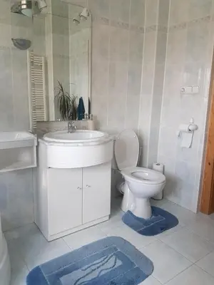 a bathroom with a toilet and a sink with blue rugs at Apartman pod Svatou Horou in Příbram