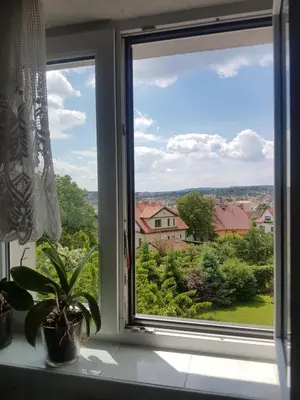 a window with a plant on a window sill at Apartman pod Svatou Horou in Příbram