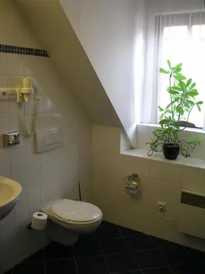 a bathroom with a toilet and a window with a plant at Hejtmanský dvůr in Slaný