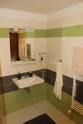 a bathroom with a sink and a mirror at Penzion Na Hrazi in Poděbrady