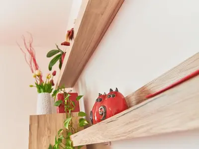 a red tomato sitting on a shelf with plants at Cozy Apartments with Terrace near Prague Castle in Prague
