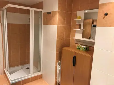 a bathroom with a shower and a wooden cabinet at Big Homebase with Billardtable in Prague