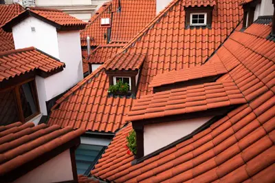 an overhead view of roofs with windows and plants at Miss Sophie's Charles Bridge in Prague