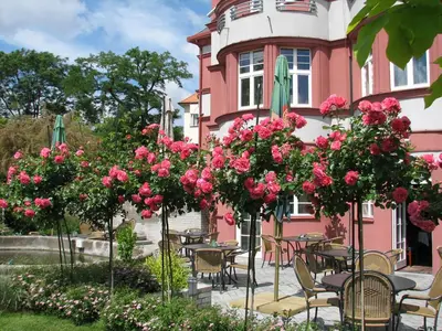 a bar with a lot of bottles of alcohol at Hotel Villa in Prague