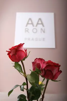 a vase with two red roses in front of a sign at Aaron in Prague