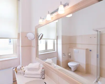 a bathroom with a toilet and a large mirror at Unitas Hotel in Prague