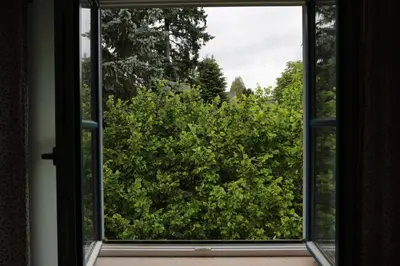 a wooden shed with two doors in a garden at Rekreační vilka Zlenice in Zlenice