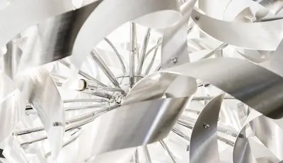 a close up of a plant with white flowers at Hotel Herrmes in Prague
