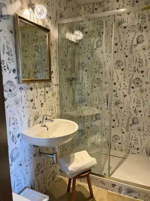 a bathroom with a sink and a shower at Penzion Čokolaterie in Třebenice