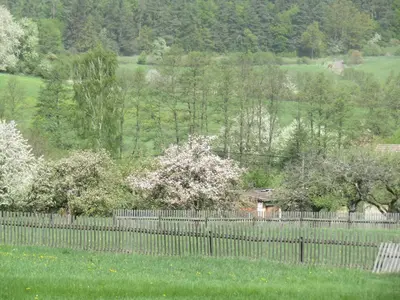a fence in front of a field with flowering trees at Rekreacni Dum Brdy in Ohrazenice
