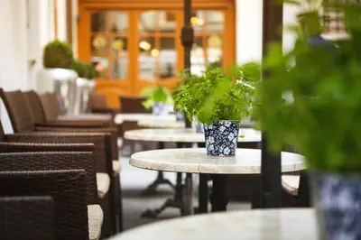 a row of tables with plants on top of them at Hotel U Zlateho jelena in Prague