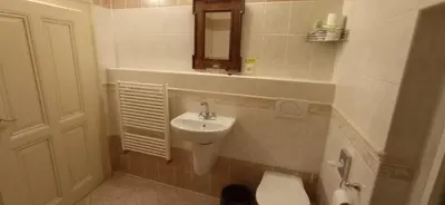 a bathroom with a sink and a toilet and a mirror at Hotel U Zlateho jelena in Prague
