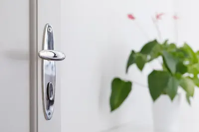 a door with a silver door handle next to a plant at Hanan's Benedikt in Prague