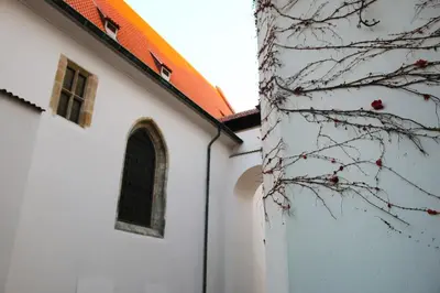 a white building with a window and a tree at Betlem Prague Apartments in Prague