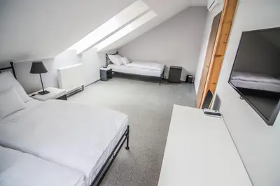 a bedroom with two beds and a flat screen tv at Pension Viktorin in Poděbrady
