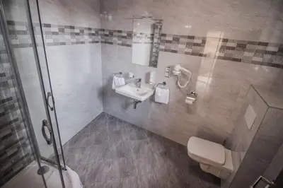 a bathroom with a sink and a toilet and a shower at Pension Viktorin in Poděbrady