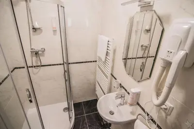 a bathroom with a shower and a sink at Pension Viktorin in Poděbrady