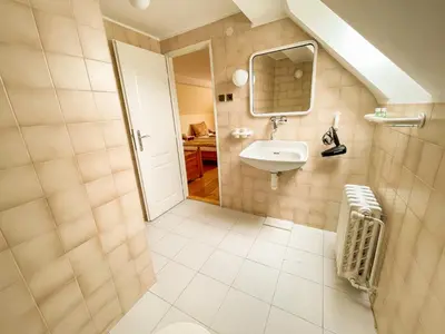 a bathroom with a sink and a mirror at Ubytování Kubantovi in Prague