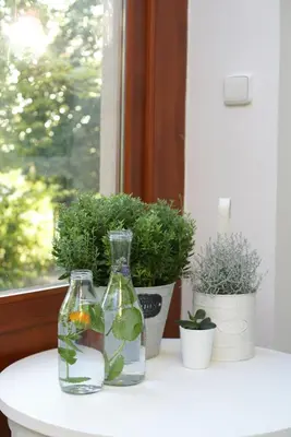 two glass vases sitting on a window sill with plants at Villa Letná in Brandýs nad Labem-Stará Boleslav