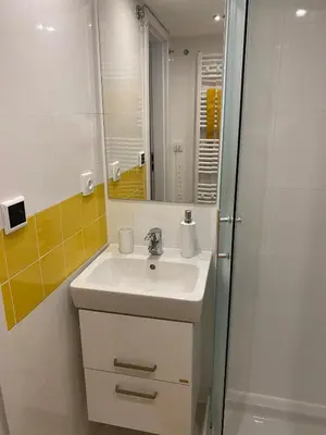 a bathroom with a white sink and a shower at Homelike Prague Apartment in Prague