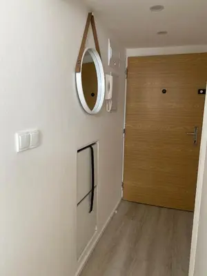 a hallway with a wooden door and a mirror at Homelike Prague Apartment in Prague