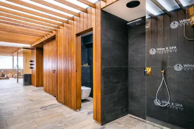 a bathroom with a walk in shower and a toilet at Hotel Akademie in Chocerady