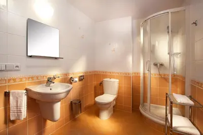 a bathroom with a toilet and a sink and a shower at Hotel Akademie in Chocerady