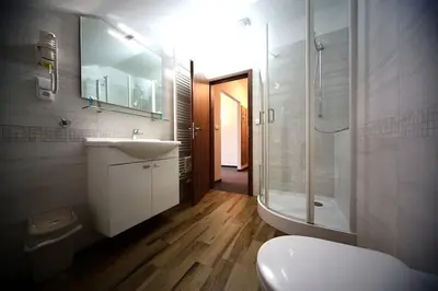 a bathroom with a toilet and a sink and a shower at Statek 1738 in Všestudy