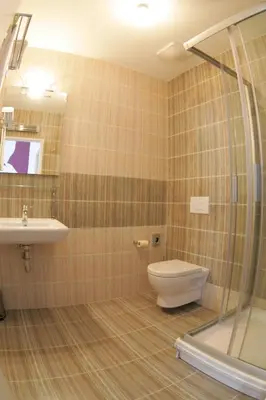 a bathroom with a toilet and a sink and a shower at Dahlia Inn in Prague