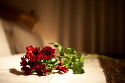 a bunch of red flowers sitting on a table at Dahlia Inn in Prague