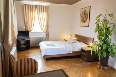 a bedroom with a bed and a potted plant at Residence Thunovska in Prague