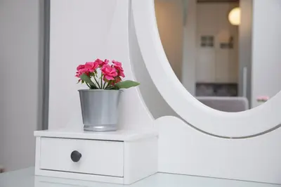 a vase of flowers on a dresser in front of a mirror at Luxury apartment Spálená in Prague