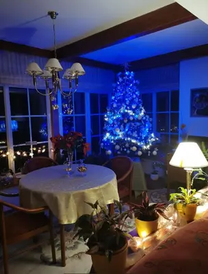 a christmas tree in a living room with a table and a christmas tree at Homestay Svatá in Svatá