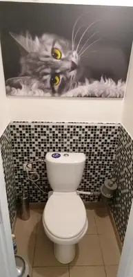 a bathroom with a toilet with a picture of a cat on the wall at Jilská 449/14 in Prague