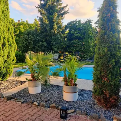 two potted plants sitting next to a swimming pool at Penzion Stranny in Stranný