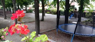 a blue bench in a park with red flowers at Hotel Svornost in Prague