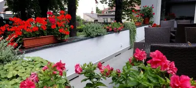 a bunch of flowers on a white wall at Hotel Svornost in Prague