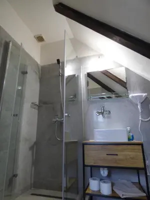 a bathroom with a shower and a sink at Hotel Svornost in Prague